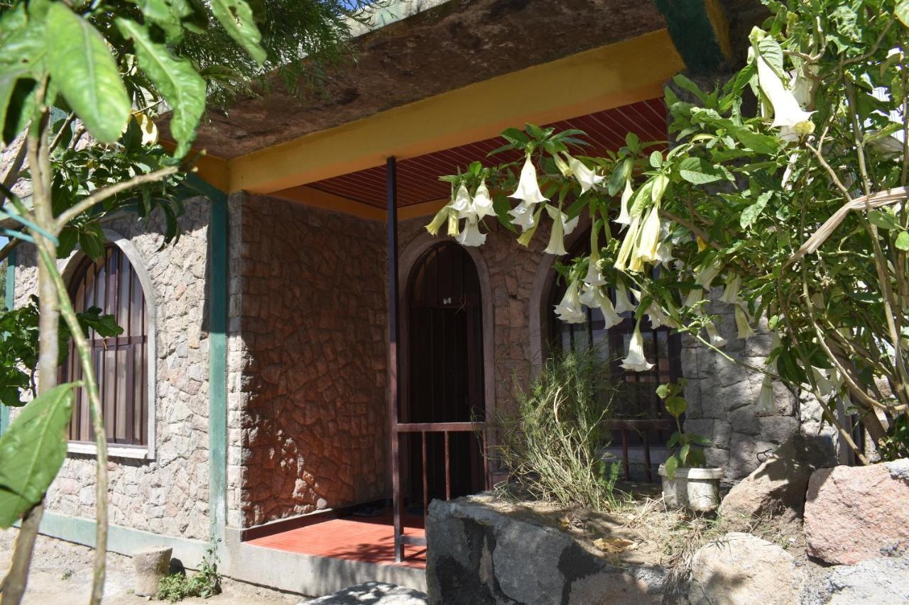 Lalibela Homestay Bagian luar foto